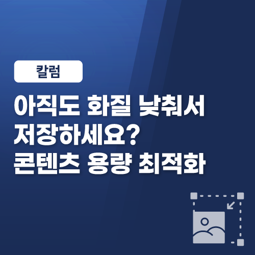언론보도